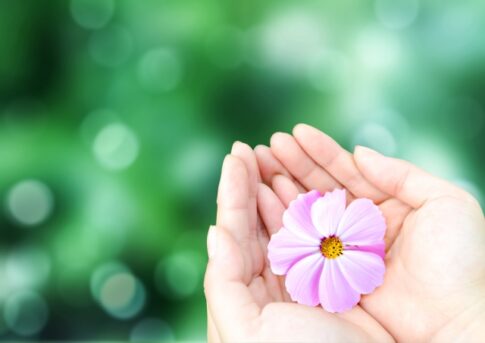 仕事で感情を我慢することが多いならば、プライベートで感情を揺さぶる体験や経験を積極的にやってみよう